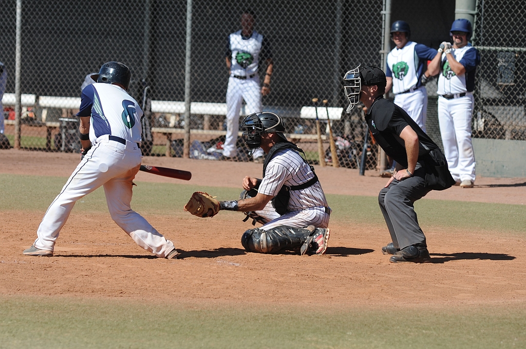 Seals_2019-10-11 (277).JPG - (c)2010 DeVetter